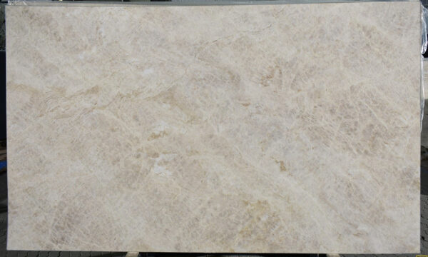 Taj Mahal - Leather - Image 3