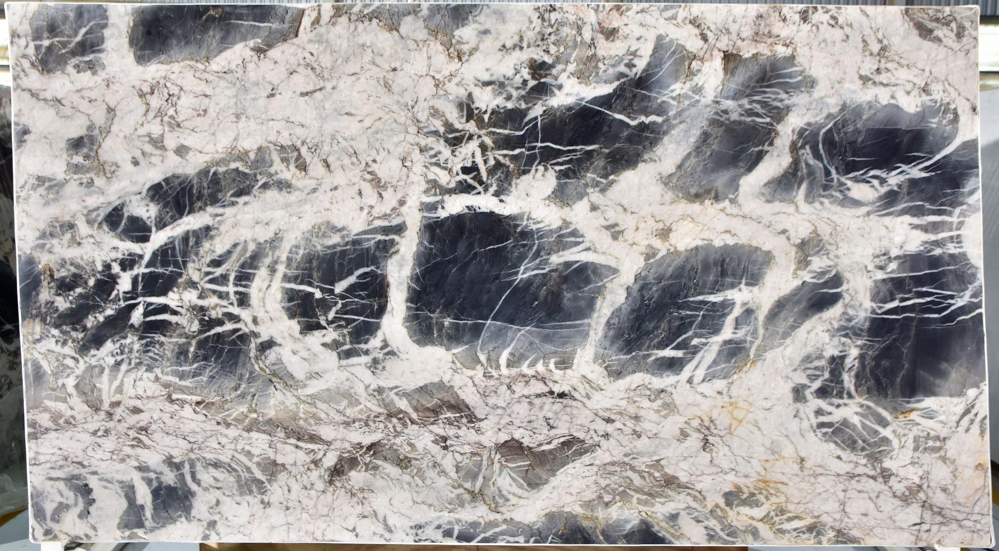 Picasso - Image 3