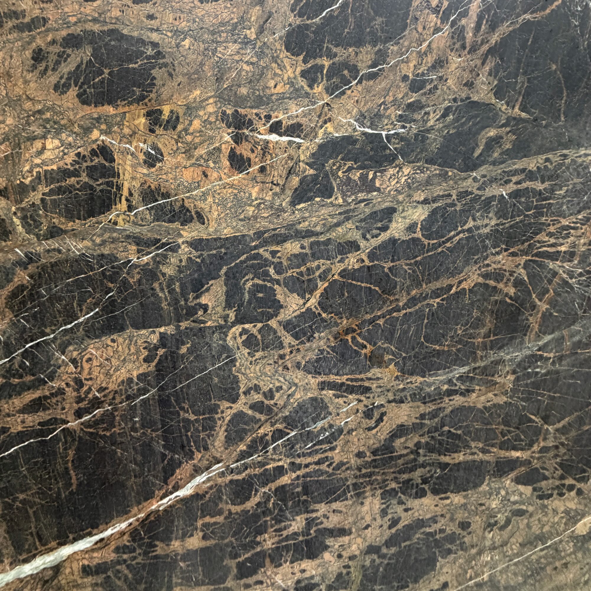 Jatoba Brown - Image 2