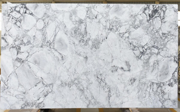 Super White Calacatta - Image 3