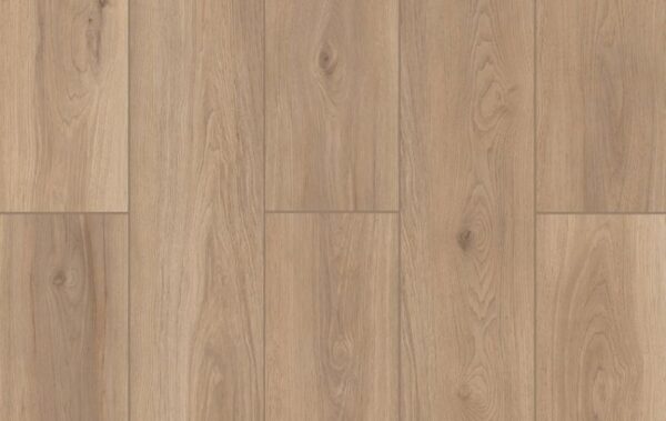 Artisan Touch - Lions Floor