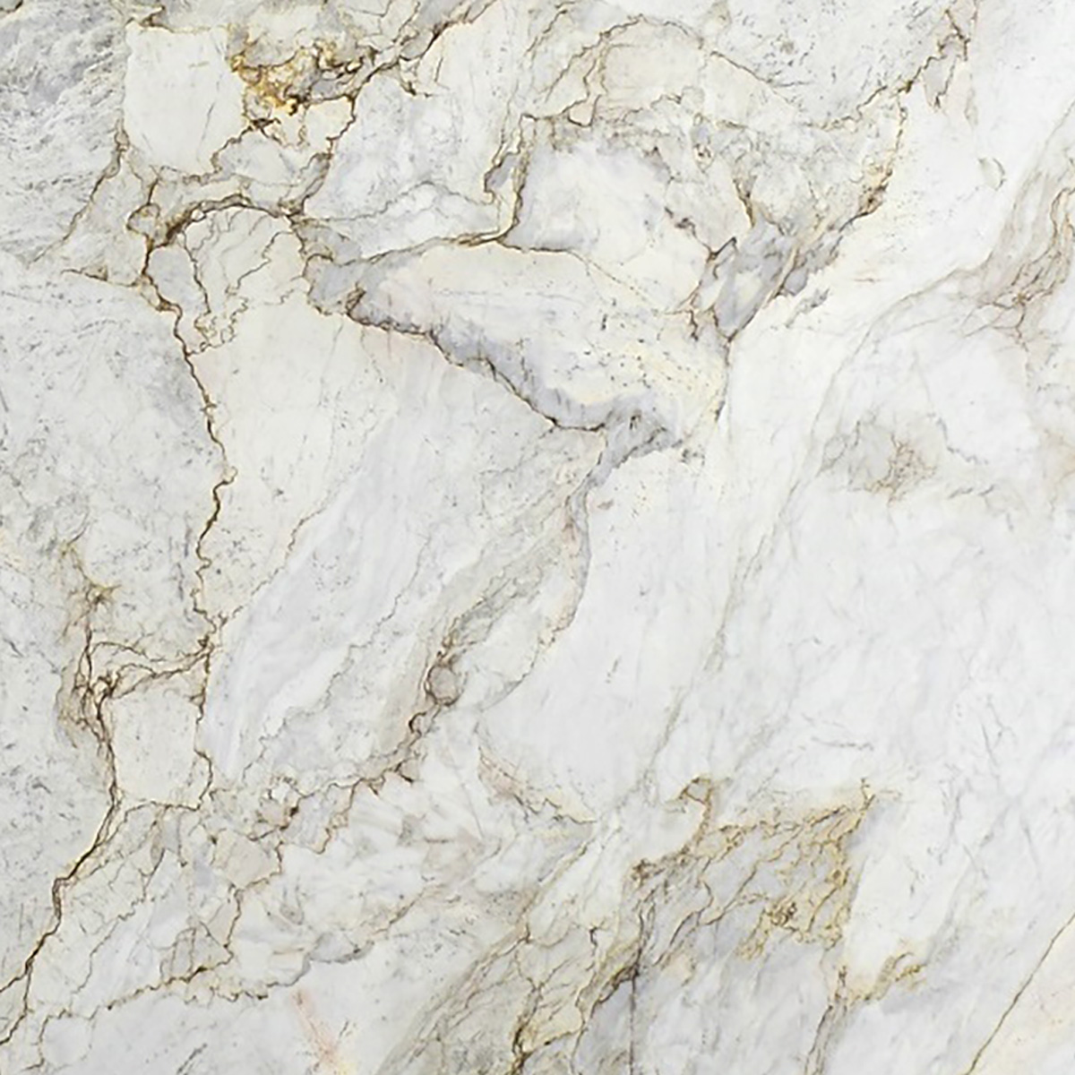 Michelangelo - Image 2